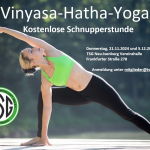 Vinyasa-Hatha-Yoga grafik